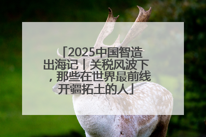 2025中国智造出海记丨关税风波下，那些在世界最前线开疆拓土的人